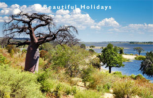 typical scenery of botswana