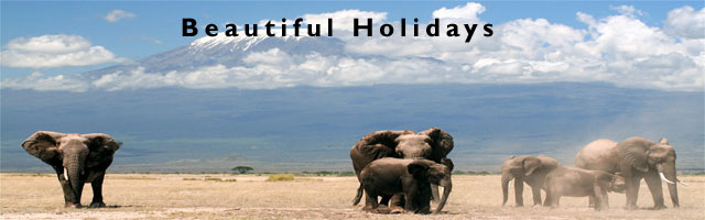 east africa holiday accommodation picture