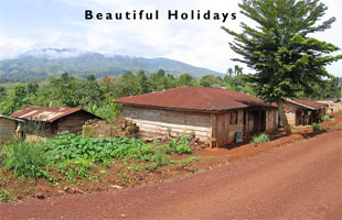 west africa picture showing rural scene