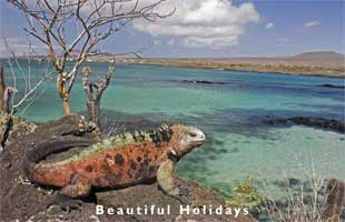picture of galapagos islands ecuador