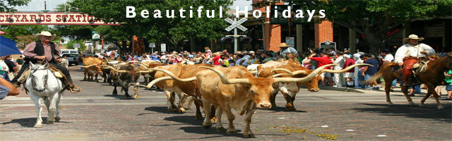texas holiday and accomodation guide