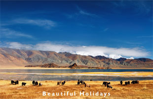 typical scenery of mongolia