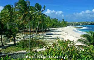 typical scenery of barbados