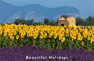 one of the popular provence resorts