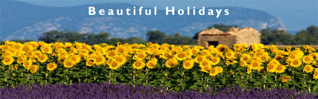 provence holiday and accomodation guide