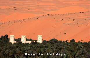 united arab emirates desert