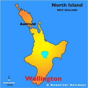 map of wellington in new zealand